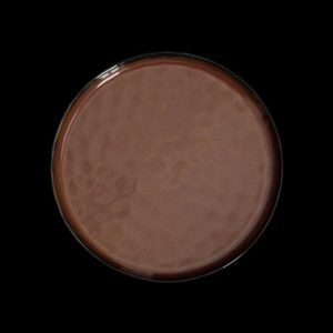 ТАРЕЛКА мелкая 8,75" 225мм, красный "Corone Carmen" [HS012570]