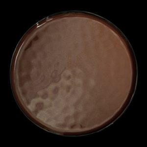 ТАРЕЛКА мелкая 11" 290мм, красный "Corone Carmen" [HS012571]