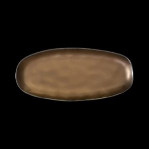 БЛЮДО овальное 10,6" 270х125мм, медный "Corone Luminare" [HS027517]