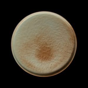 ТАРЕЛКА с бортом 10,5'' 270мм "Corone Villaggio" [63048]