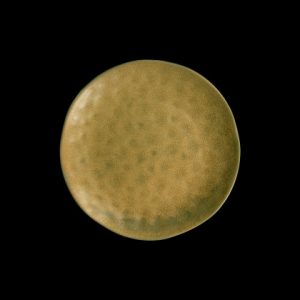 ТАРЕЛКА мелкая 8,25" 210мм "Corone Antico" [35075]