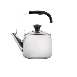 ЧАЙНИК 3л нерж., пл. ручка[RGS-4608]